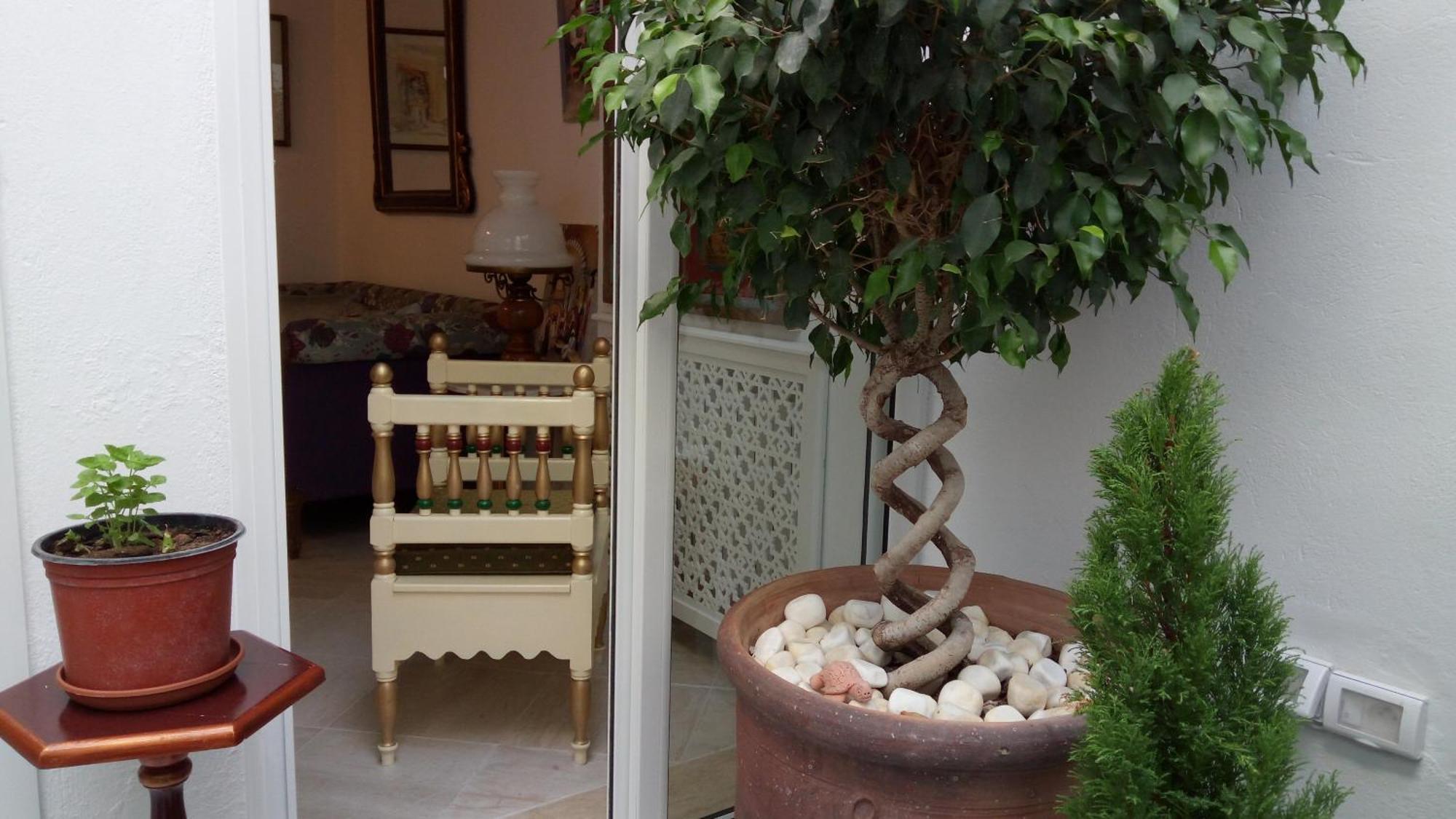 El Patio Courtyard House Hotel Tunis Buitenkant foto